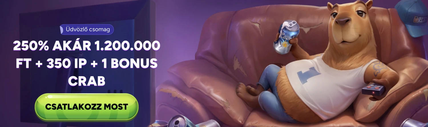 Promotional Banner